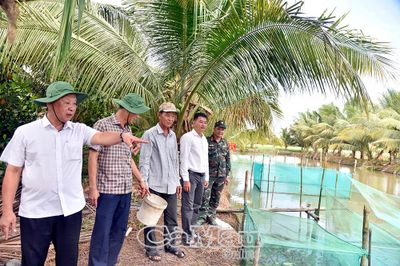 Giám sát thực hiện Nghị quyết Đại hội Đảng các cấp tại xã Vĩnh Thanh