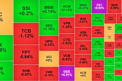 Chứng khoán 11/8: VN-Index lùi 3,36 điểm, dòng tiền dồn sang nhóm công nghệ