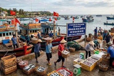 Lâm Đồng: Công bố 2 điểm neo đậu, bốc dỡ thủy sản tạm thời tại đặc khu Phú Quý