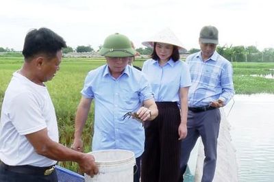 Ứng Hòa mở hướng phát triển kinh tế từ nuôi cua cà ra