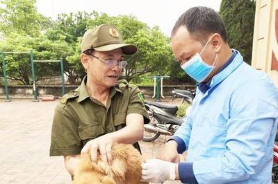 Hà Nội tăng cường phòng, chống bệnh dại giai đoạn 2026-2030