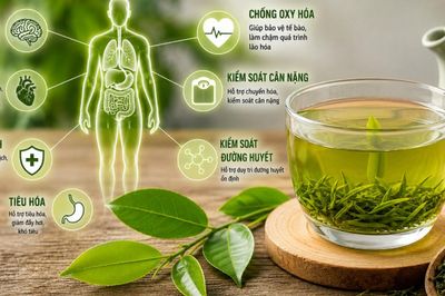 Điều gì xảy ra với cơ thể khi uống trà xanh mỗi ngày?