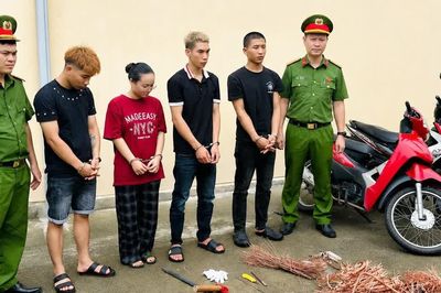 Khởi tố nhóm chuyên đột nhập công trình trộm cắp cáp điện liên tỉnh