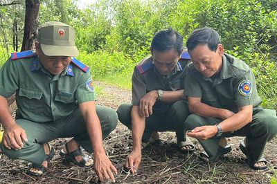 Giữ màu xanh Thạnh Phú, bảo tồn bền vững hệ sinh thái đất ngập nước