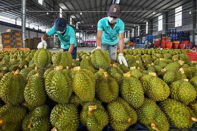 Vì sao Trung Quốc tăng nhập khẩu rau quả Việt Nam?