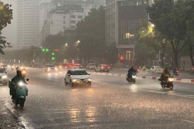 Thời tiết hôm nay 12.8: Nam Bộ mưa rào và dông, cục bộ có nơi mưa to