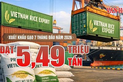 Xuất khẩu gạo 7 tháng năm 2026 đạt 5,49 triệu tấn, thu hơn 2,6 tỉ USD