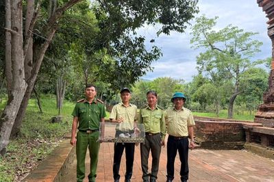 Tiếp nhận, phối hợp thả động vật hoang dã quý hiếm về rừng Mỹ Sơn