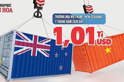 Việt Nam - New Zealand: Thương mại đạt 1,01 tỉ USD, nhập siêu 43,2 triệu USD