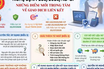 Nghị định 255/2026/NĐ-CP: Những điểm mới trọng tâm về giao dịch liên kết