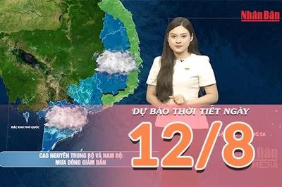 [Video] Dự báo thời tiết ngày 12/8/2026: Nắng nóng gay gắt tiếp tục bao trùm Bắc Bộ, Trung Bộ