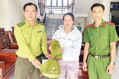 Nâng cao nhận thức bảo vệ động vật hoang dã