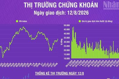 [Infographic] Chứng khoán ngày 12/8: VN-Index tăng gần 20 điểm, khối ngoại mua ròng 314,4 tỷ đồng trên HoSE