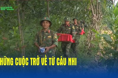 Những cuộc trở về từ Câu Nhi