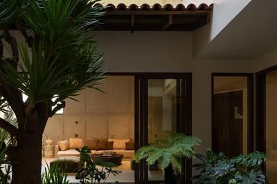 Nhà phố tạo khoảng riêng bằng sân vườn và giếng trời