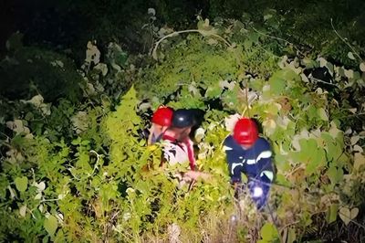 Cứu sống một sinh viên rơi xuống vực tại bán đảo Sơn Trà trong đêm