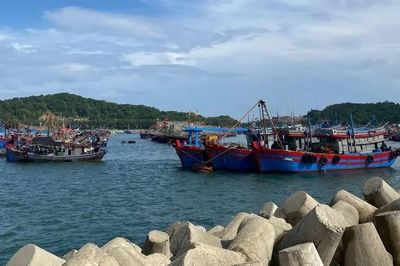 Phát hiện nhiều khu neo đậu tàu cá ở Quảng Ninh xuống cấp
