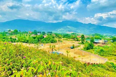 Đất cha mẹ tặng cho con, sau nhiều lần sang tên có được giảm tiền sử dụng đất?