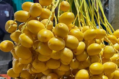 5 nhóm người nên ăn chà là nhiều hơn