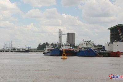 An Giang thay đổi phương thức truyền thông, quyết tâm gỡ thẻ vàng IUU