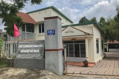 Hàng loạt sai phạm nghiêm trọng tại Công ty Lâm nghiệp Bảo Thuận