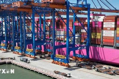 Thử nghiệm tuyến container quốc tế kết nối Cần Thơ với Quảng Tây