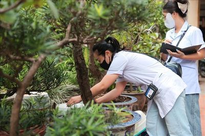 Kích hoạt 'lá chắn' phòng sốt xuất huyết từ cơ sở