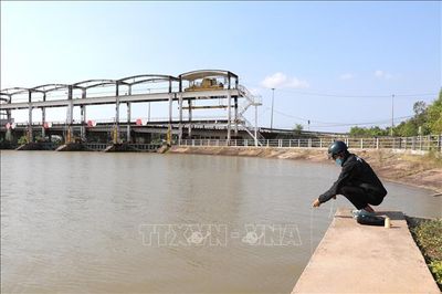 Xây dựng kịch bản ứng phó xâm nhập mặn mùa khô 2026-2027