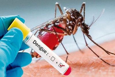 Người dân không chủ quan với dịch sốt xuất huyết
