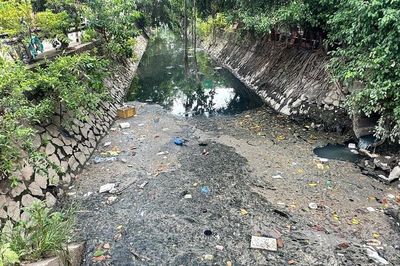 Mắc kẹt trong dòng 'nước đen': Người dân khu Tây Tp.HCM mòn mỏi chờ giải pháp căn cơ