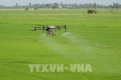 Cơ giới hóa nông nghiệp ở Đồng Tháp: Khi cánh đồng không còn dấu chân người