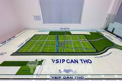 Tập đoàn Sumitomo (Nhật Bản) tìm cơ hội phát triển khu công nghiệp tại Cần Thơ