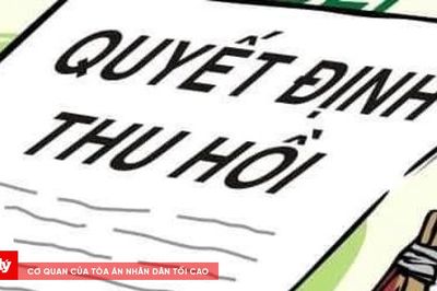 Lý do thu hồi khu hơn 4.000m² đất của Công ty Cổ phần Đầu tư Phát triển địa ốc Gia Long