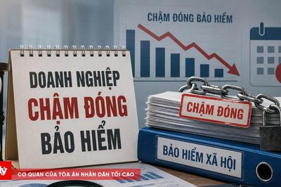 Hơn 150 tỷ đồng doanh nghiệp chậm đóng bảo hiểm ở Cà Mau