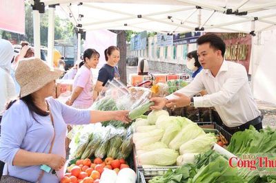 Văn hóa công vụ: Động lực cho nền hành chính hiện đại