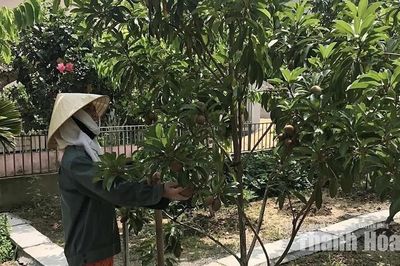 Ứng dụng khoa học - kỹ thuật vào sản xuất