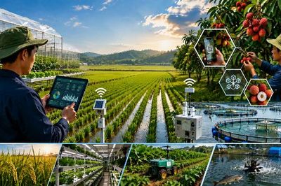 Đòn bẩy phát triển nông nghiệp bền vững