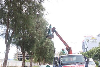 Cắt tỉa cây xanh để ứng phó mưa bão