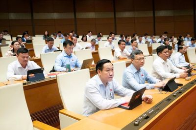 Sửa 10 luật về lĩnh vực nông nghiệp, môi trường: Tăng cường hậu kiểm và quản lý rủi ro