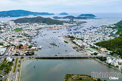 Những con còng đỏ
