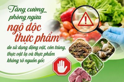 Tăng cường phòng ngừa ngộ độc thực phẩm do sử dụng động vật, côn trùng, thực vật lạ và thực phẩm không rõ nguồn gốc