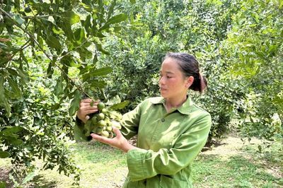 Quốc Khánh: Mắc ca mở hướng thoát nghèo