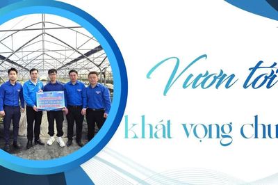 Vươn tới khát vọng chung