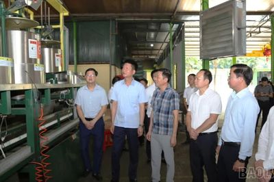 Phó Bí thư Tỉnh ủy Nguyễn Thế Phước khảo sát các mô hình sản xuất, kinh doanh tại xã Xuân Quang, Phong Hải
