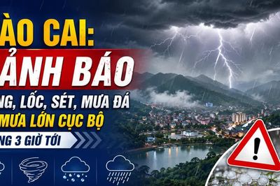 Lào Cai: Cảnh báo dông, lốc, sét, mưa đá và mưa lớn cục bộ trong 3 giờ tới