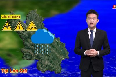 Dự báo thời tiết đêm 12 và ngày 13/8