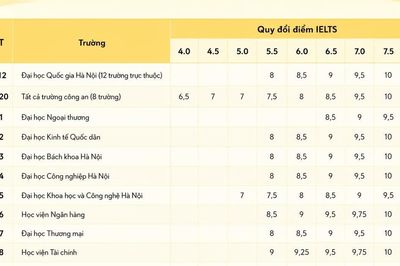 Lợi thế của IELTS trong xét tuyển đại học và thời điểm ôn luyện tối ưu