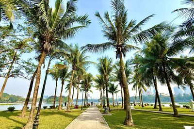 Bộ Xây dựng sắp ban hành quy chuẩn kỹ thuật về công viên, cây xanh