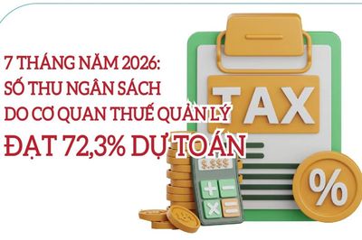 Infographics: Ngành Thuế thu ngân sách đạt 72,3% dự toán