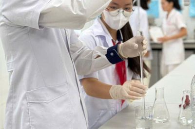 Tận dụng phế phẩm nhà bếp sản xuất dung dịch xua đuổi côn trùng